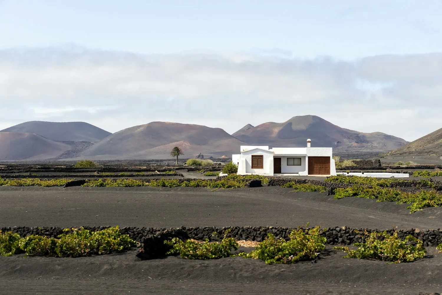 La Geria — Ruta del Vino